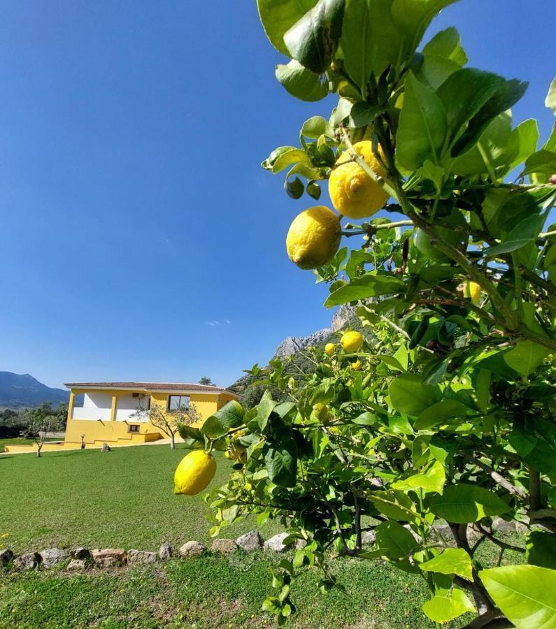 Villa Indipendente Con Piscina Uso Esclusivo Internet Illimitato à Siniscola Extérieur photo